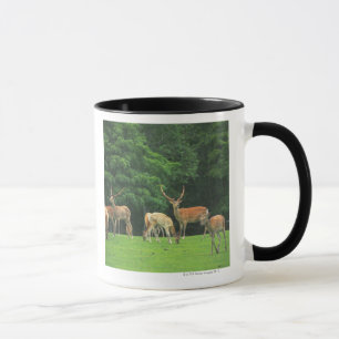 Mug Cerfs communs de Sika se tenant dans une clairièr
