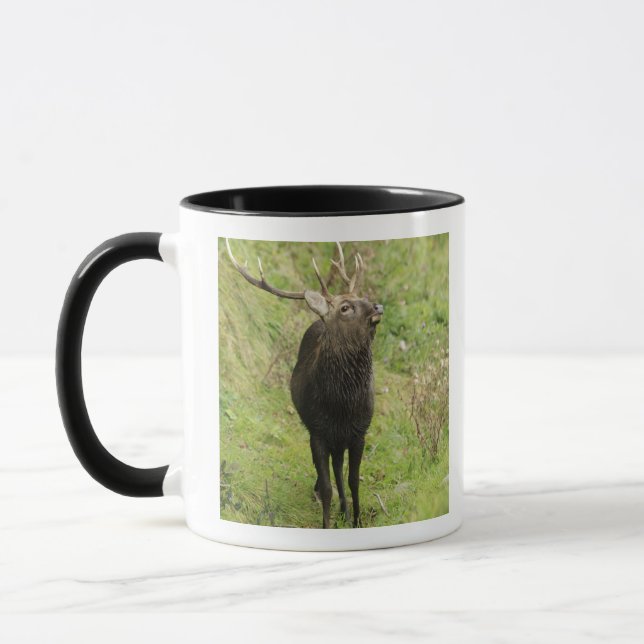 Mug Cerfs communs d'Ezo (Gauche)