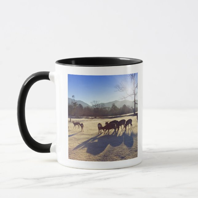Mug Cerfs communs en parc à Nara, préfecture de Nara, (Gauche)