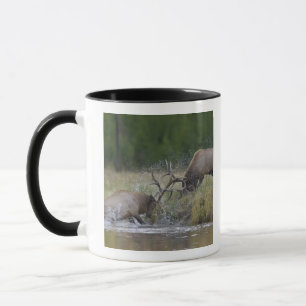 Mug Cerfs mâles se battant, Parc national de Yellowsto