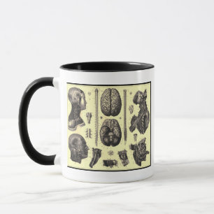 Mug Cerveau anatomique et plus