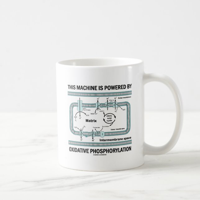 Mug Cette machine actionnée par phosphorylation (Droite)