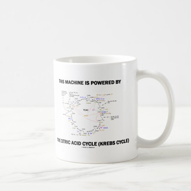 Mug Cette Machine Est Alimentée Par Le Cycle D'Acide C (Droite)