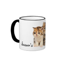 Chabots de "mon Kitty" et chaton de Bubs