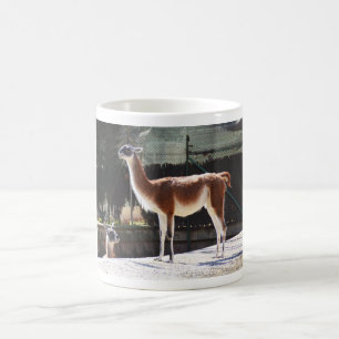 Mug Chameau sauvage