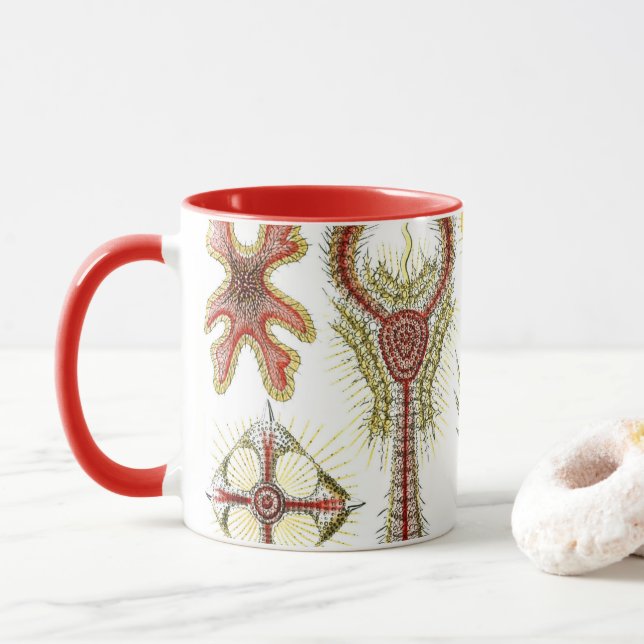 Mug Chamomile sauvage par Ernst Haeckel, Nature Vintag (Avec donut)