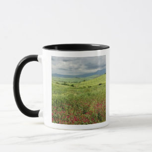 Mug Champ agricole, région de Toscane, Italie.