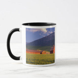 Mug Champ de blé dans la vallée de Wallowa, juste à l'