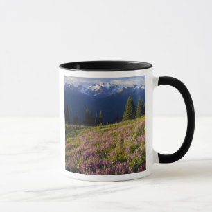 Mug Champ de lupine, Mt Olympus et nuages à