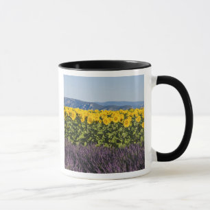 Mug Champ de tournesols et fleurs de lavande,