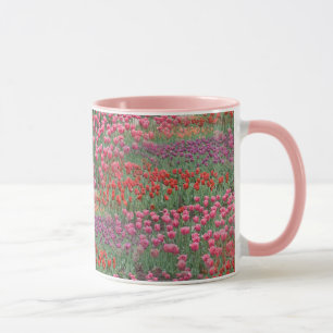 Mug Champ De Tulipes