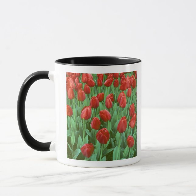 Mug Champ de tulipes en fleurs au printemps. (Gauche)