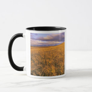 Mug Champ d'orge en maturation le long des montagnes R
