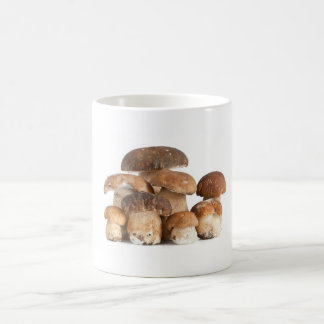 Mug champignons