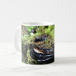 Mug Champignons sur un arbre, Cape Disnomination, WA