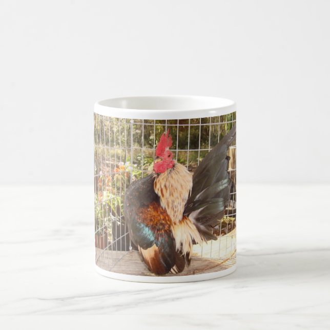 Mug Champion de ressortissant de Mug-2007 SCNA (Centre)