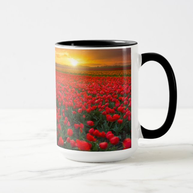 Mug Champs de tulipe au coucher du soleil dans (Droite)
