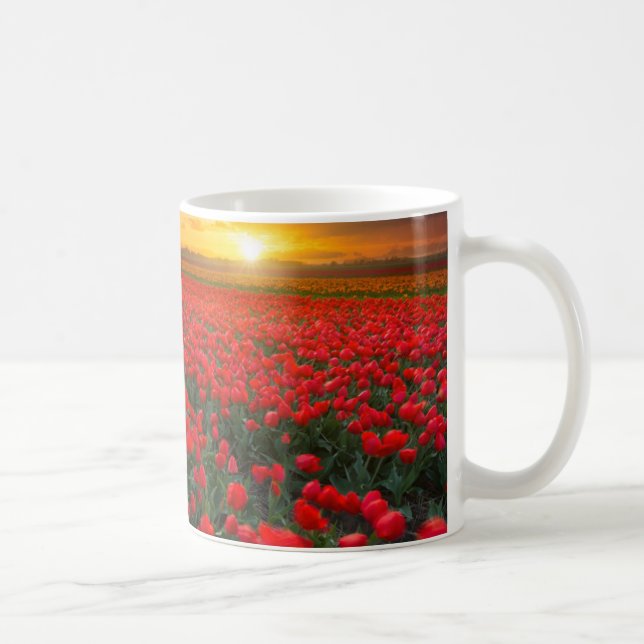Mug Champs de tulipe au coucher du soleil dans (Droite)
