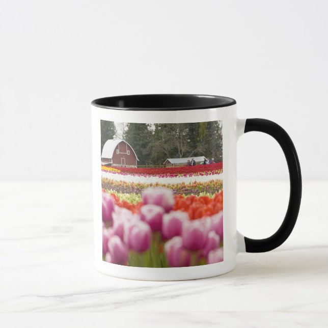 Mug Champs de tulipes de Mt. Vernon, comté de Skagit,  (Droite)