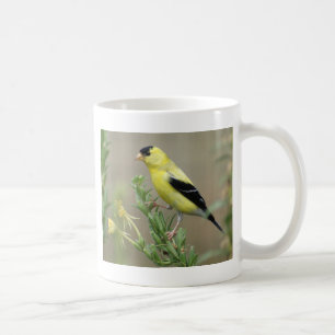 Mug Chardonneret