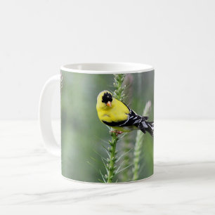 Mug Chardonneret américain