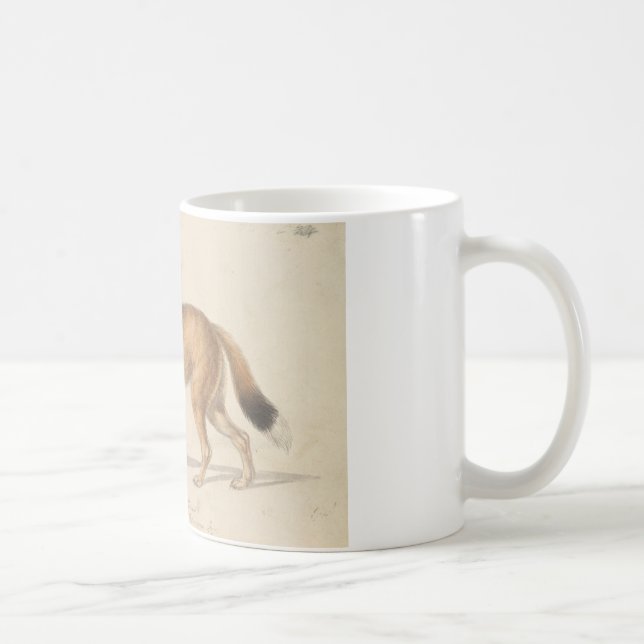Mug Charles Hamilton Smith - Loup des îles Falkland (Droite)