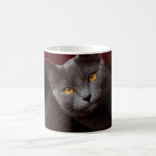 Mug Chartreux