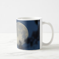 Chasse photographique Winter Moon