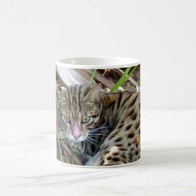 Mug Chat 005 du Bengale (Centre)