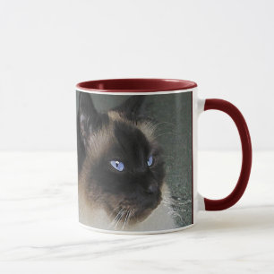 Mug Chat Birman Ragdoll et citation Kitty