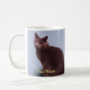 Mug Chat bleu russe de Kitty