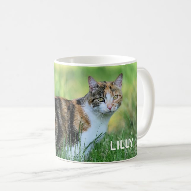 Mug Chat brun et blanc (Devant droit)