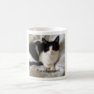 Mug Chat café-potable sophistiqué : "Purrrfection ! "