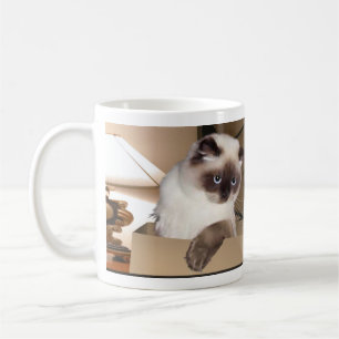 Mug Chat dans la boîte