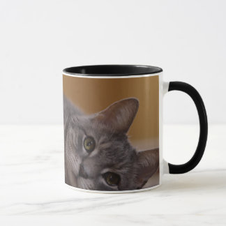 Mug Chat dans la pose mignonne se trouvant sur le