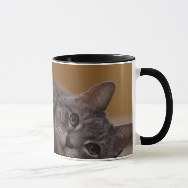 Mug Chat dans la pose mignonne se trouvant sur le (Droite)