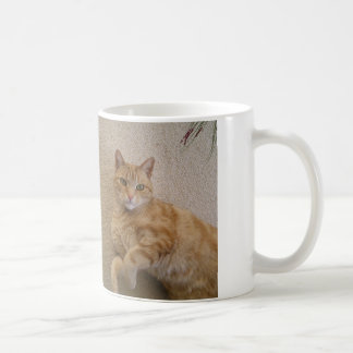 Mug Chat de gingembre - c'est une vie de Purrfect