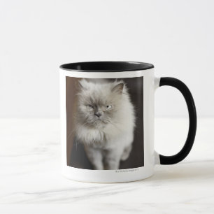 Mug Chat de l'Himalaya de point bleu semblant irrité