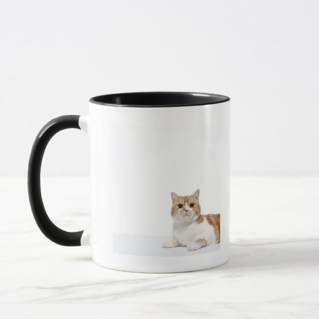 Mug Chat de pli d'écossais (Gauche)