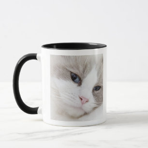 Mug Chat de Ragdoll