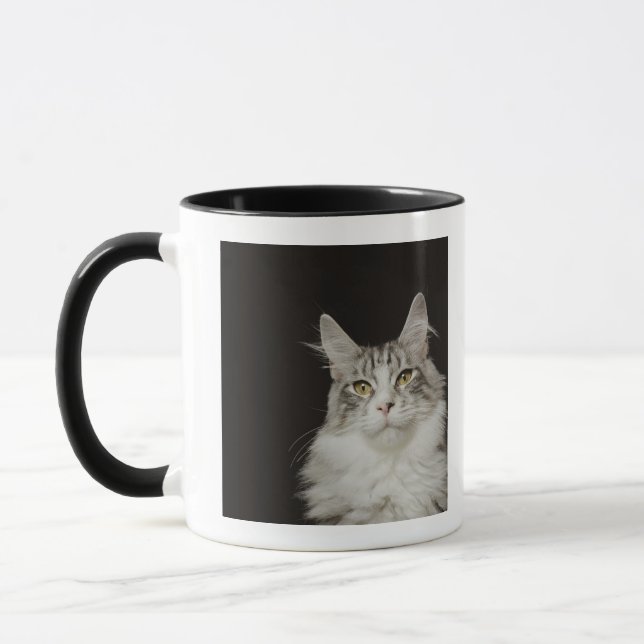 Mug Chat de ragondin adulte du Maine (Gauche)