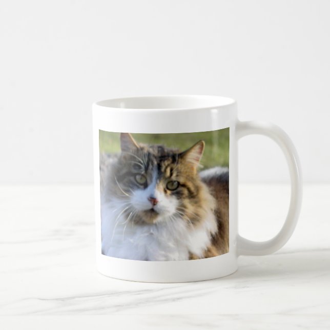 Mug Chat de ragondin du Maine (Droite)