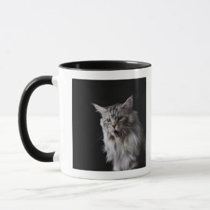 Mug Chat de ragondin du Maine 2