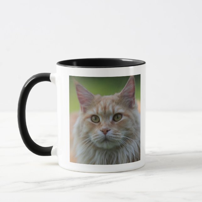 Mug Chat de ragondin principal (Gauche)