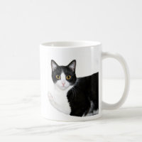 Chat de smoking