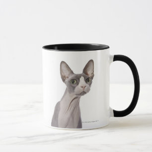 Mug Chat de Sphynx avec l'expression étonnée