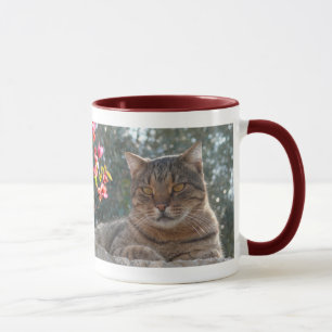 Mug Chat de tigre Pandelie