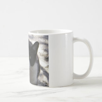 Mug Chat d'Oreo