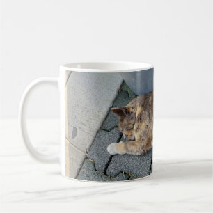 Mug Chat endormi