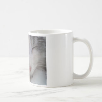 Mug Chat endormi
